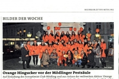 48.W.Orange-Hingucker-vor-der-Mödlinger-Pestsäule-BB